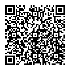 并且还决定要陪着江少游的小妹一起去学校报到……刚好江少游要去参加兵王训练营的集训二维码生成