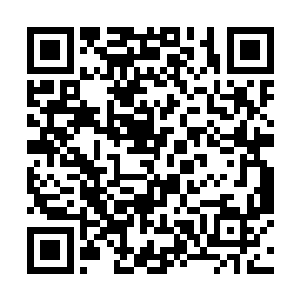 并且还好运地撞上了兽化人最弱的时候……想当英雄二维码生成