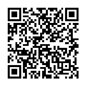 并且还有很大一部分的贡献点都被拿去购买了精神力药剂二维码生成