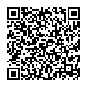 并且还热情无比的打起了招呼的……仿佛一人一兽是多少年的好朋友似的二维码生成