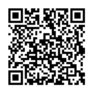 并且还用小根的芒星晶柱插在法阵四周用于加持二维码生成