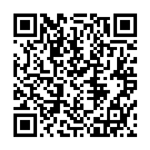 并且还被骗走了大量的上等神王草以及先祖圣土等稀有之物二维码生成