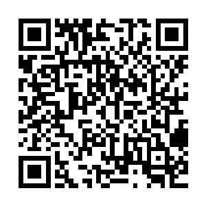 并且这个汉斯似乎还是其中一个实权头目最喜欢的小儿子……二维码生成