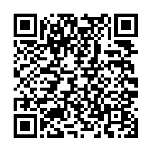 并且这舢板的两侧居然都还有两只仙鹤也似的翅膀二维码生成