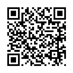 并且逐一问出了他们的指令代码位数二维码生成