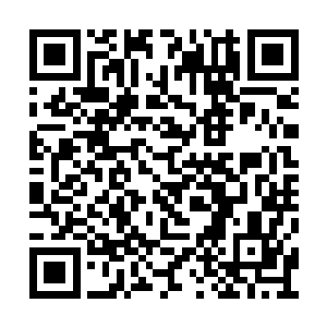 并且通过闭路电视向委员会的其余成员同步展示二维码生成