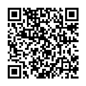 并且陈家明的秘书兼情人赵蕾蕾被公安局控制后二维码生成