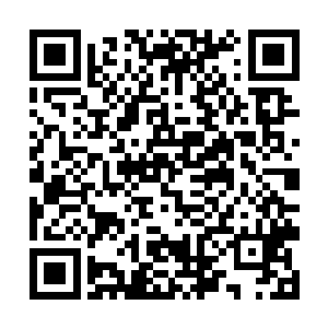 并且难以恢复力量的情况下即便是圣帝强者都会陨落二维码生成