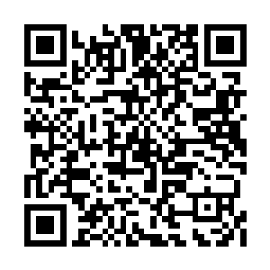 并且黑帮承担战斗时黑帮成员的医药费和保险金二维码生成