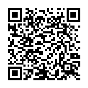 并为白脉修补养剑池天的万象炼剑炉取得炎火本源二维码生成