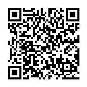 并依照阿九的建议把选美规划弄成了律法补充条款之一二维码生成
