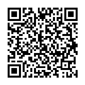 并信誓旦旦的说其他六个魔神主不可能派魔神王去符神界二维码生成