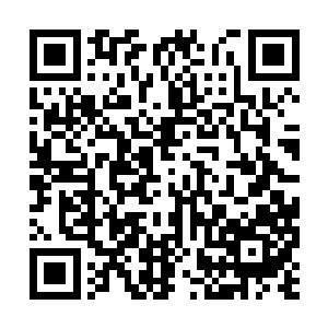 并借着治疗的短暂加速效果更加疯狂地逃亡了起来二维码生成