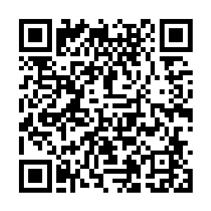 并化为了一个个楚旬等人见过或者没有见过的天使二维码生成