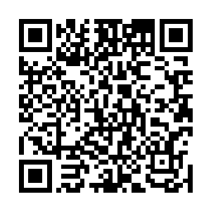 并十分快速的将提前在文档中撰写好的文章内容粘贴了上去二维码生成