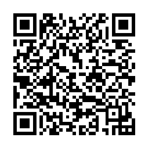 并只有拇指大的生物也慢慢从那水晶匣子里面爬了出来二维码生成