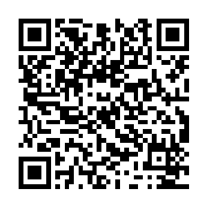 并吞入腹中的那滴精血也忽然绽放出了耀眼的血光二维码生成