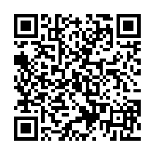 并和他的二舅子白征西秉烛夜谈讨论符文炼器师的未来二维码生成