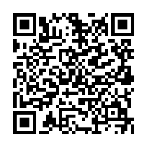 并在一阵沉闷的撕裂声中斩入了辟寒大王的身躯二维码生成