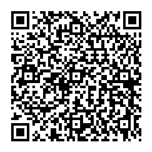 并在心中盘算着过两天就从叶府搬出去另外觅一个小一些的院子居住才好开始经营自己的事业二维码生成