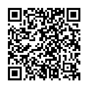 并在阿德耶夫人不在场的情况下选举阿德耶夫人为该党的主席二维码生成