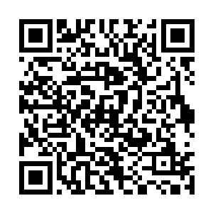 并将刚刚从拍卖会里买下的一种极品材料交给家主二维码生成