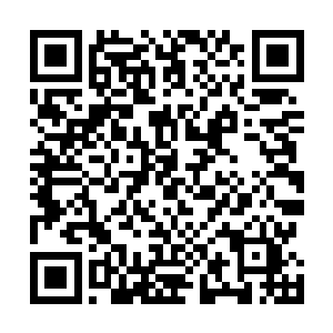 并将收获的数十万九阶丧尸晶核发放到每一个士兵的手中二维码生成