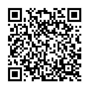 并将那菩提祖师和白衣僧人都给笼罩在了那巨竹之中二维码生成