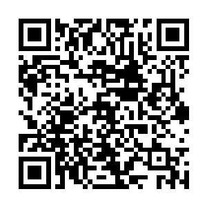 并帮助青柳把肺部的一些瘀血在短时间内吸收干净二维码生成