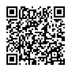 并开创属于你们……新一代人类文明的灿烂未来吧二维码生成