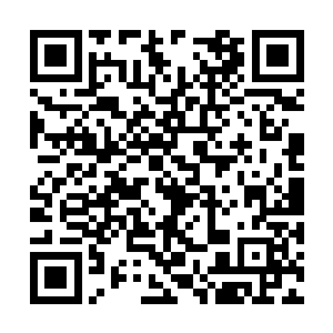 并影响着各家青年子弟的择偶判断……一想到这点二维码生成