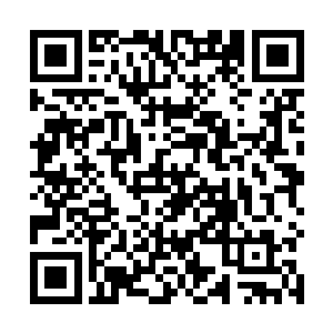 并快速从王天泽过来时撞破的漏洞跳回了中间那条走廊二维码生成