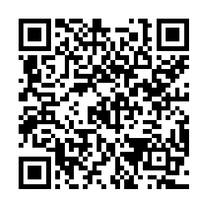 并把斯拉夫人带上辉煌大道的冰原巨熊部落的族长……二维码生成