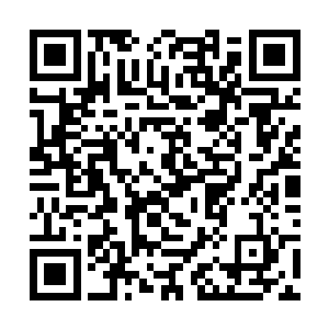 并把每具尸体上的物品都收集至各自土包状的根茎内二维码生成