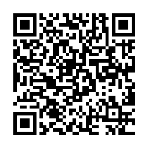 并抛下有五瓶断续膏在香江市宝利拍卖公司的事之后二维码生成