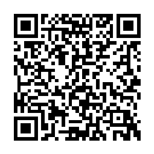 并指了指酒店门前与马路上不远处的那个摄像头二维码生成