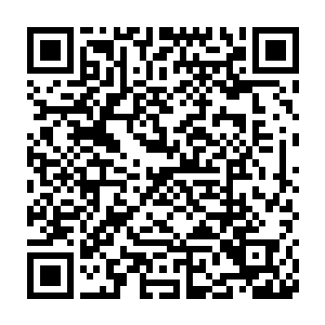 并散布穿山遁地龙打败了飞天八爪天网蛛是因为被江帆改造了的原因二维码生成