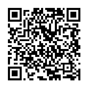 并暗暗的祈祷巨象星盗团的元婴强者千万不要出现二维码生成