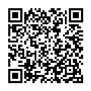 并有心将统领紫衫卫之责托付阿九……众闺秀面面相视二维码生成