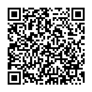 并没有人注意到休息室长椅一角趴着的三花猫――或者是看到了就当做没看到二维码生成