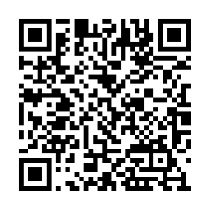 并没有什么大型媒体完完全全站在张东城这一边二维码生成