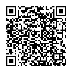 并没有任何特殊的事情发生护工们将三名病人留在这里的目的其实就是放风二维码生成