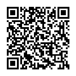 并没有去多想为什么君北月和百里尾生不在这里二维码生成