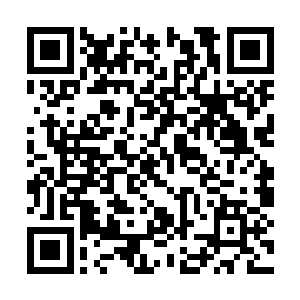 并没有受到雪胡老祖以及狗尾续命貂毛里球的阻挠二维码生成