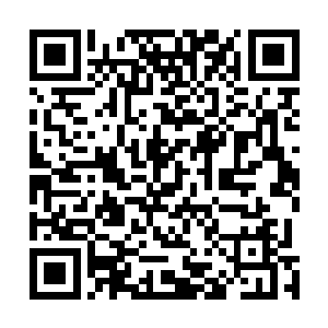 并没有因为家里炖了小鸡就像白军和王络军他们那样的抢二维码生成