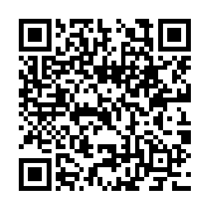 并没有因为自身的实力增长而要与墨彧争权的意思二维码生成