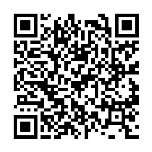 并没有提及血煞尊者旁边还有一员元极境圆满剑者二维码生成