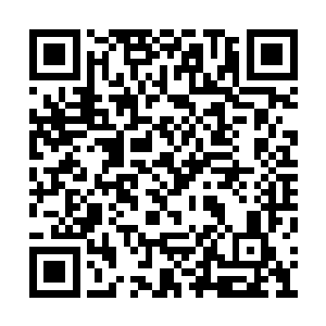 并没有激活信使星舰残骸的自我修复和复制功能二维码生成