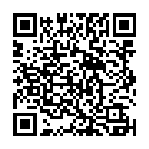 并没有看见凤丞相和秦尘君相互交换了一个放心的眼神二维码生成