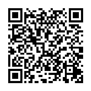 并没有被激烈战斗的黑精族天才和地魔族天才警觉二维码生成